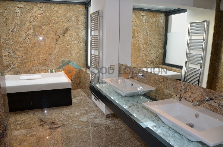Modern, bright, fresh villa on Iancu Nicolae Street